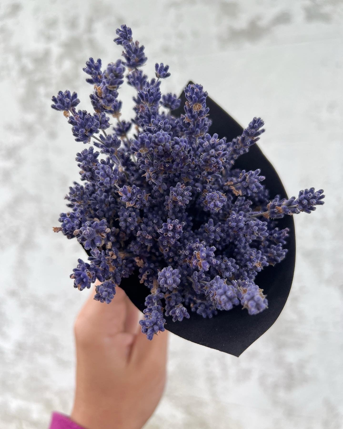 Dried Lavender Bouquet