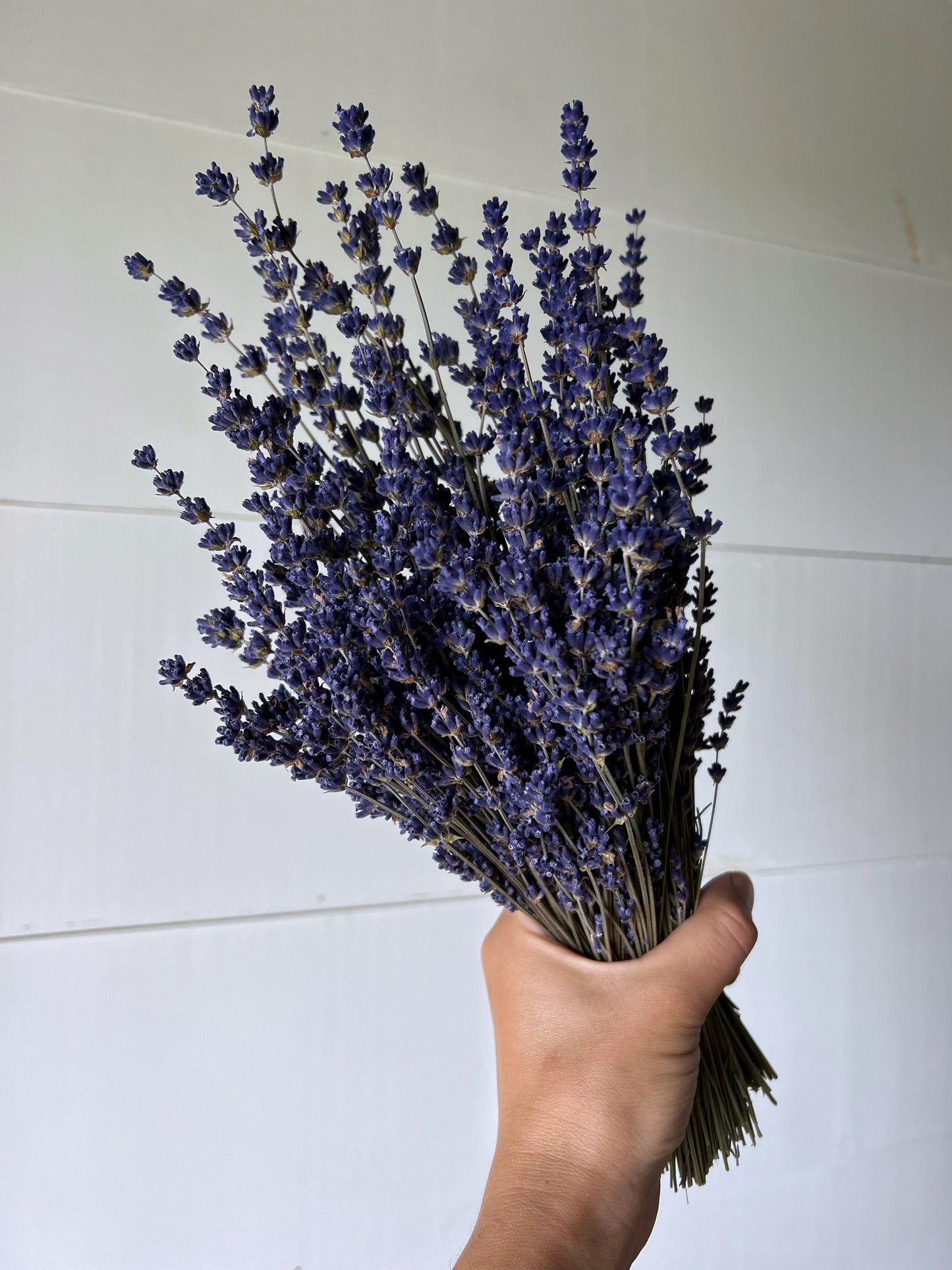 Dried Lavender Bouquet